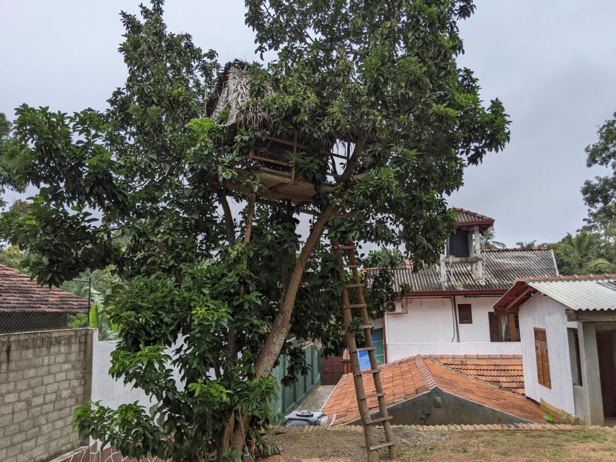 Serendip Villa Holiday Home Talalla Sri Lanka מראה חיצוני תמונה