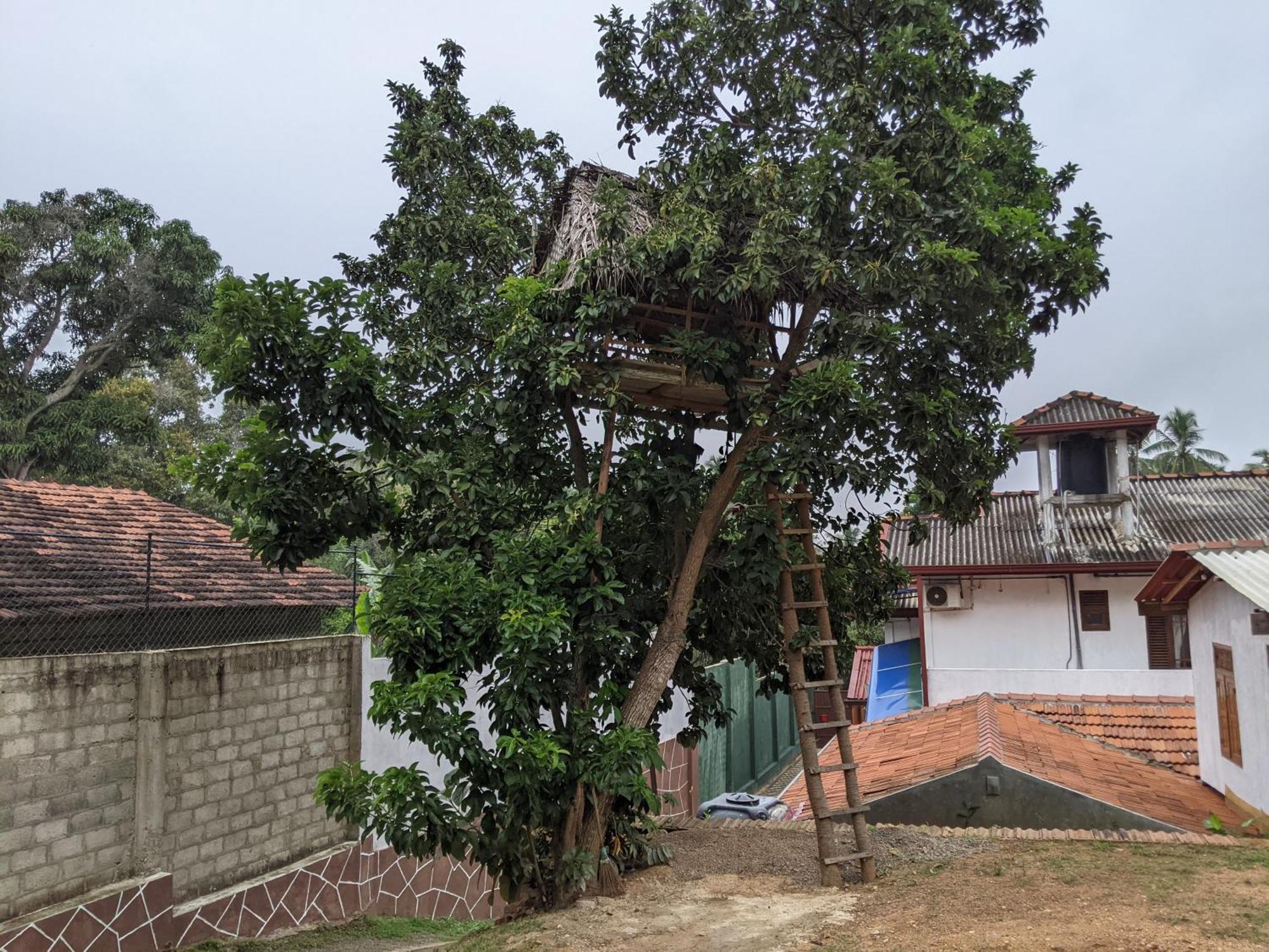 Serendip Villa Holiday Home Talalla Sri Lanka חדר תמונה